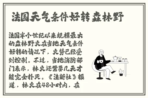 国产精品va在线播放